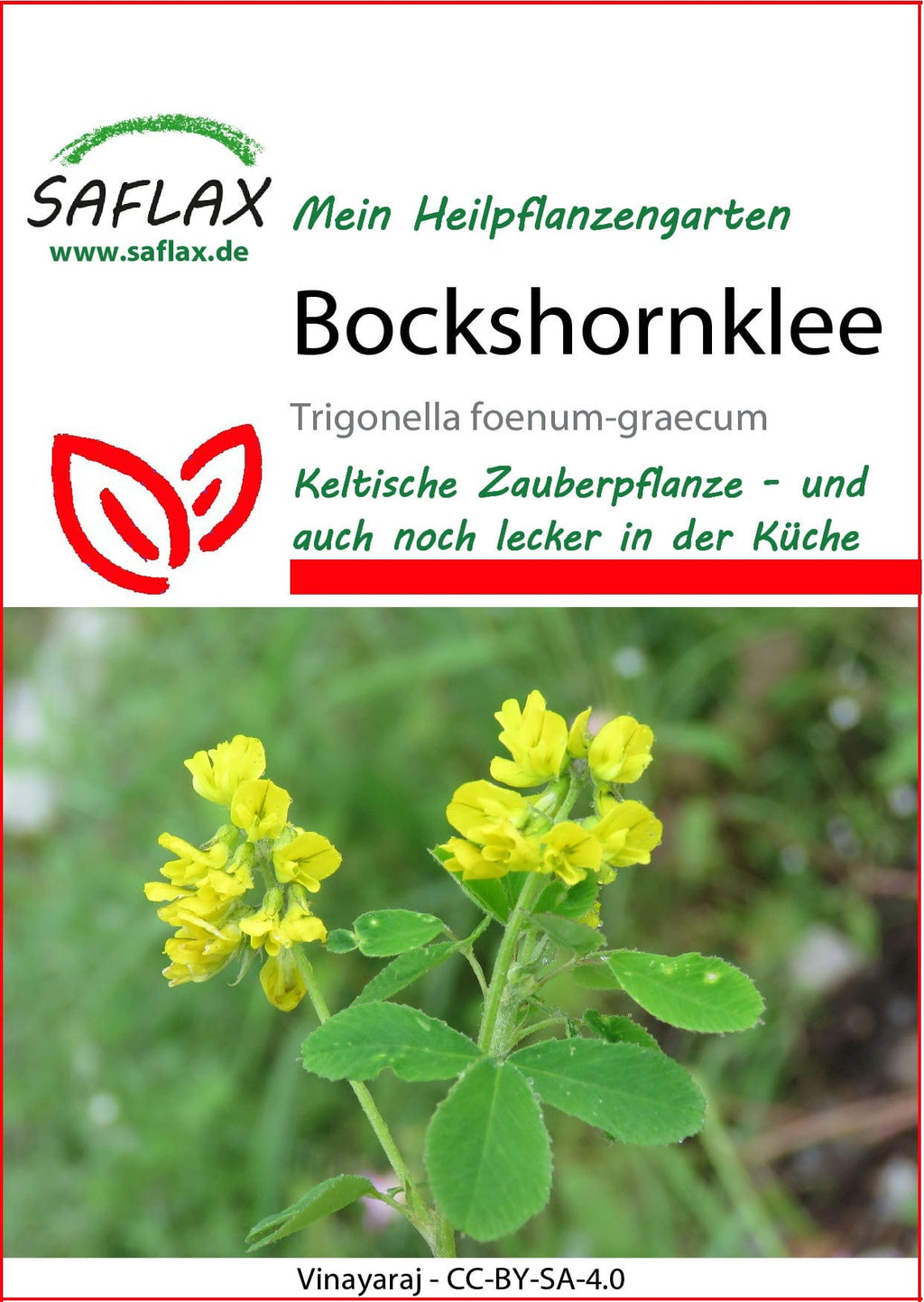  Bockshornklee