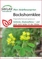  Bockshornklee