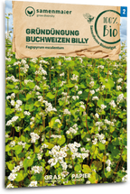  Bio Buchweizen "Billy"
