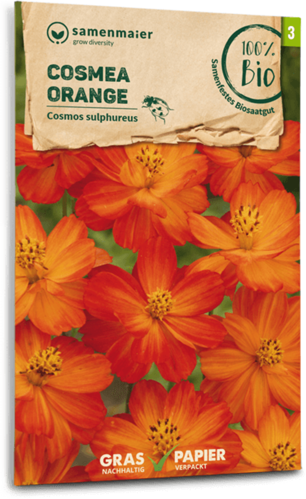  Bio Cosmea - Orange