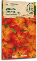  Bio Cosmea - Orange