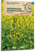  Bio Gelbsenf "Carnella"