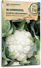  Bio Karfiol "Neckarperle"