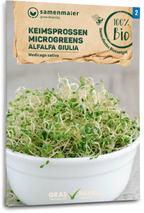  Bio Keimsprossen/Microgreens - Alfalfa Giulia