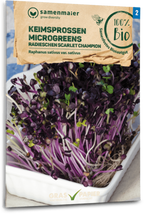  Bio Keimsprossen/Microgreens - Radieschen "Scarlet Champion"
