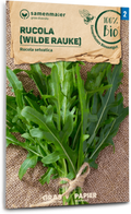  Bio Rucola "Wilde Rauke"