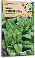  Bio Spinat "Winterriesen"