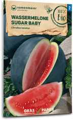  Bio Wassermelone "Sugar Baby"
