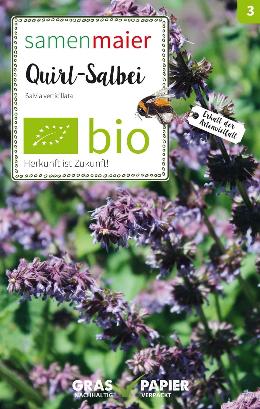  Bio Wildblume Quirl-Salbei
