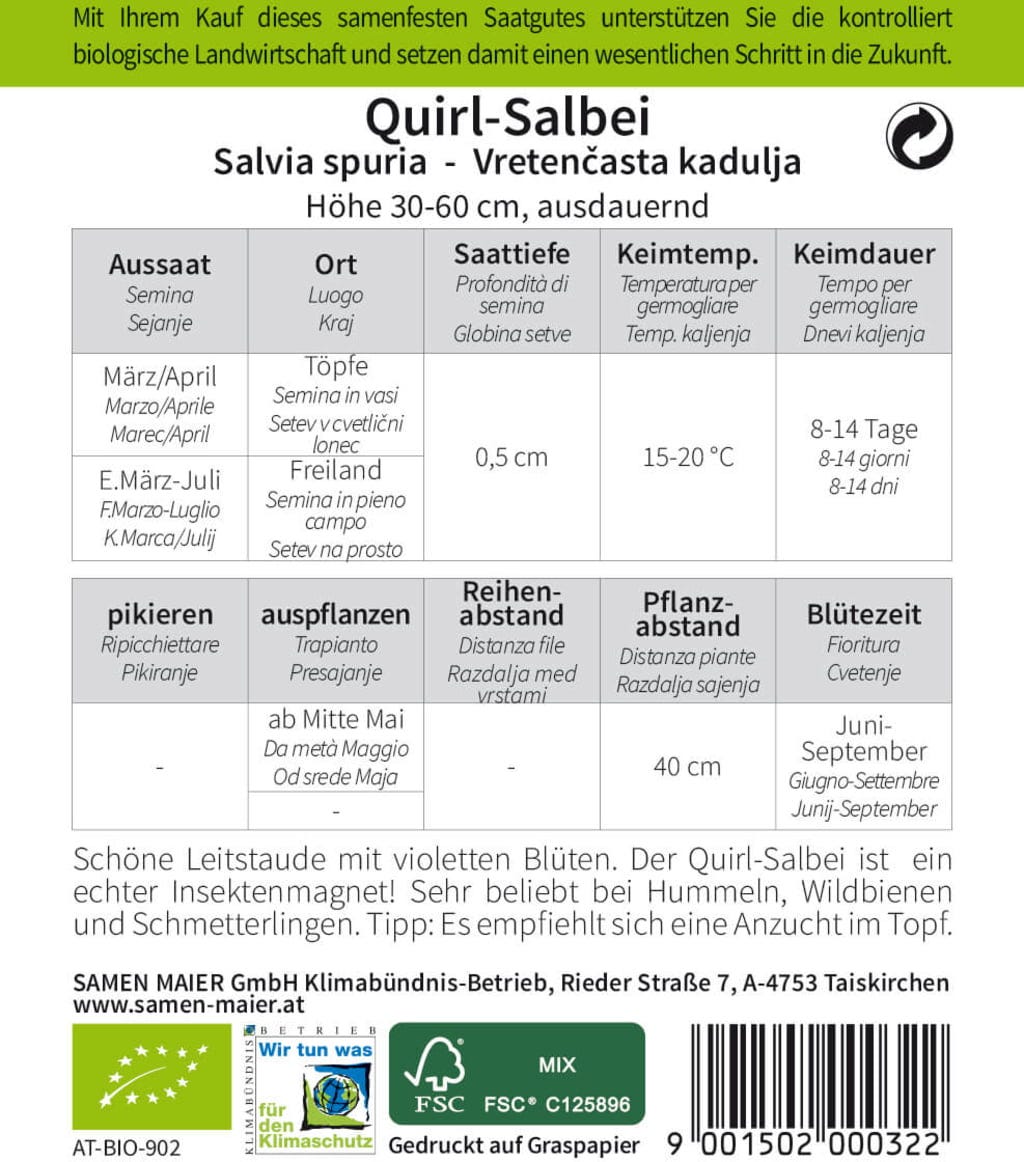  Bio Wildblume Quirl-Salbei