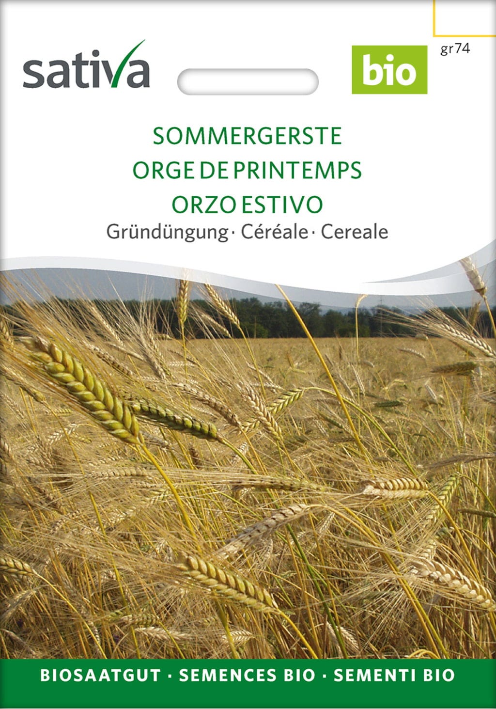  Bio Getreide "Sommergerste"