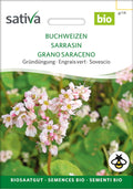  Bio Gründüngung "Buchweizen"