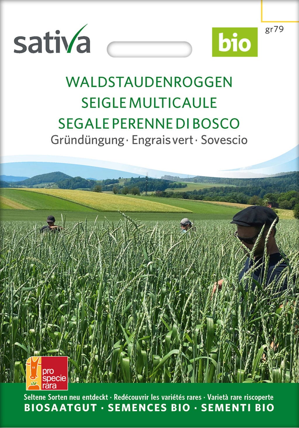  Bio Gründüngung "Waldstauden Roggen"