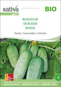  Bio Gurke "Russische"