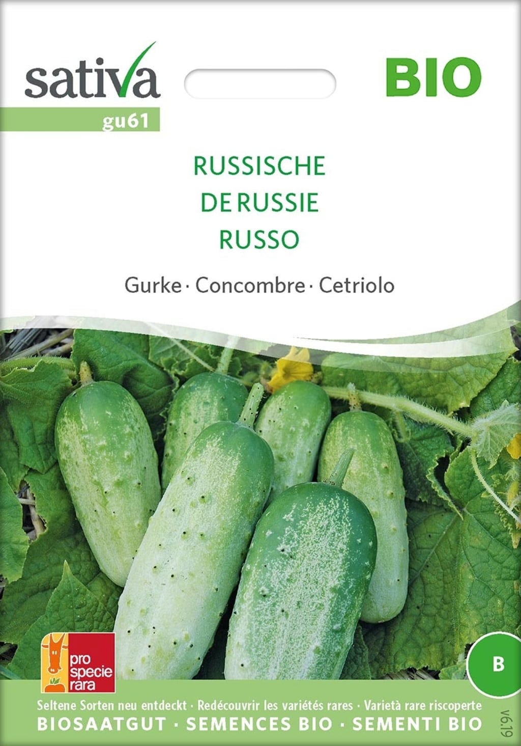  Bio Gurke "Russische"