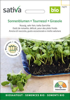  Bio Keimsprossen "Sonnenblumen"