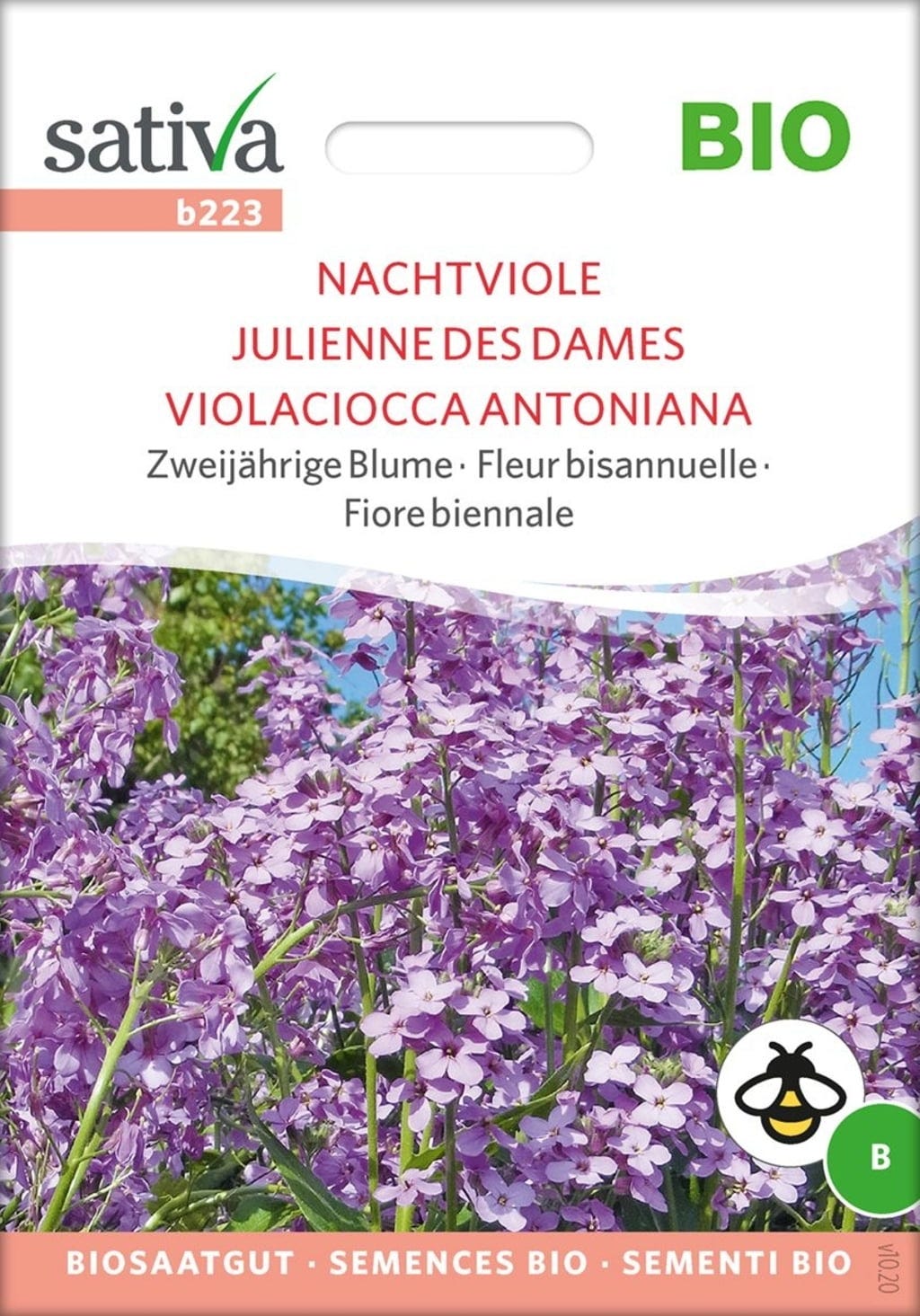  Bio Zweijährige Blume "Nachtviole"