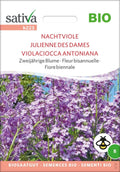  Bio Zweijährige Blume "Nachtviole"