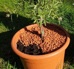  Bio-Pflanz-Granulat Für Hochbeete, Balkon- & Kübelpflanzen, 12,50 L