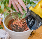  Bio-Pflanz-Granulat Für Hochbeete, Balkon- & Kübelpflanzen, 12,50 L