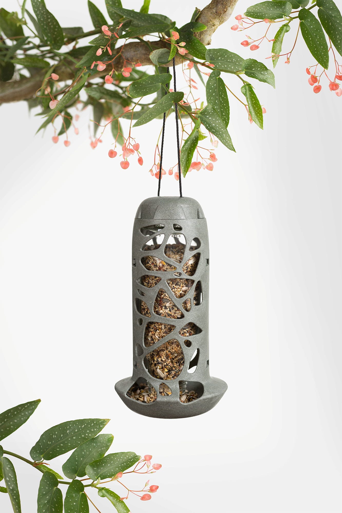  Vogelfutterspender Tara