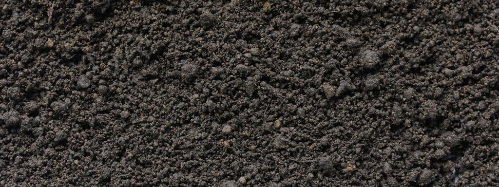  Bio Hochbeeterde, 20 Liter