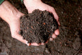 Bio Schwarzerde Im Big Bag AKTION, 1 Tonne + GRATIS Heuballen