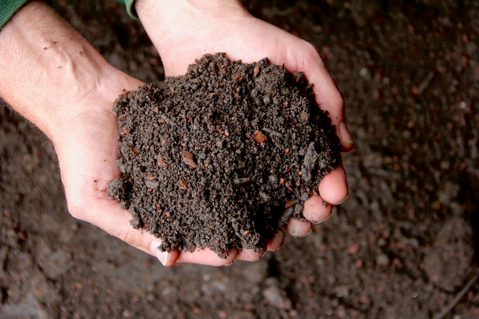  Bio Schwarzerde Im Big Bag AKTION, 1 Tonne + GRATIS Heuballen