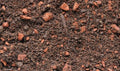  Dachgartenerde Intensiv Im Big Bag, 1 Tonne