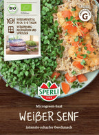 Bio Microgreen-Saat "Weißer Senf"