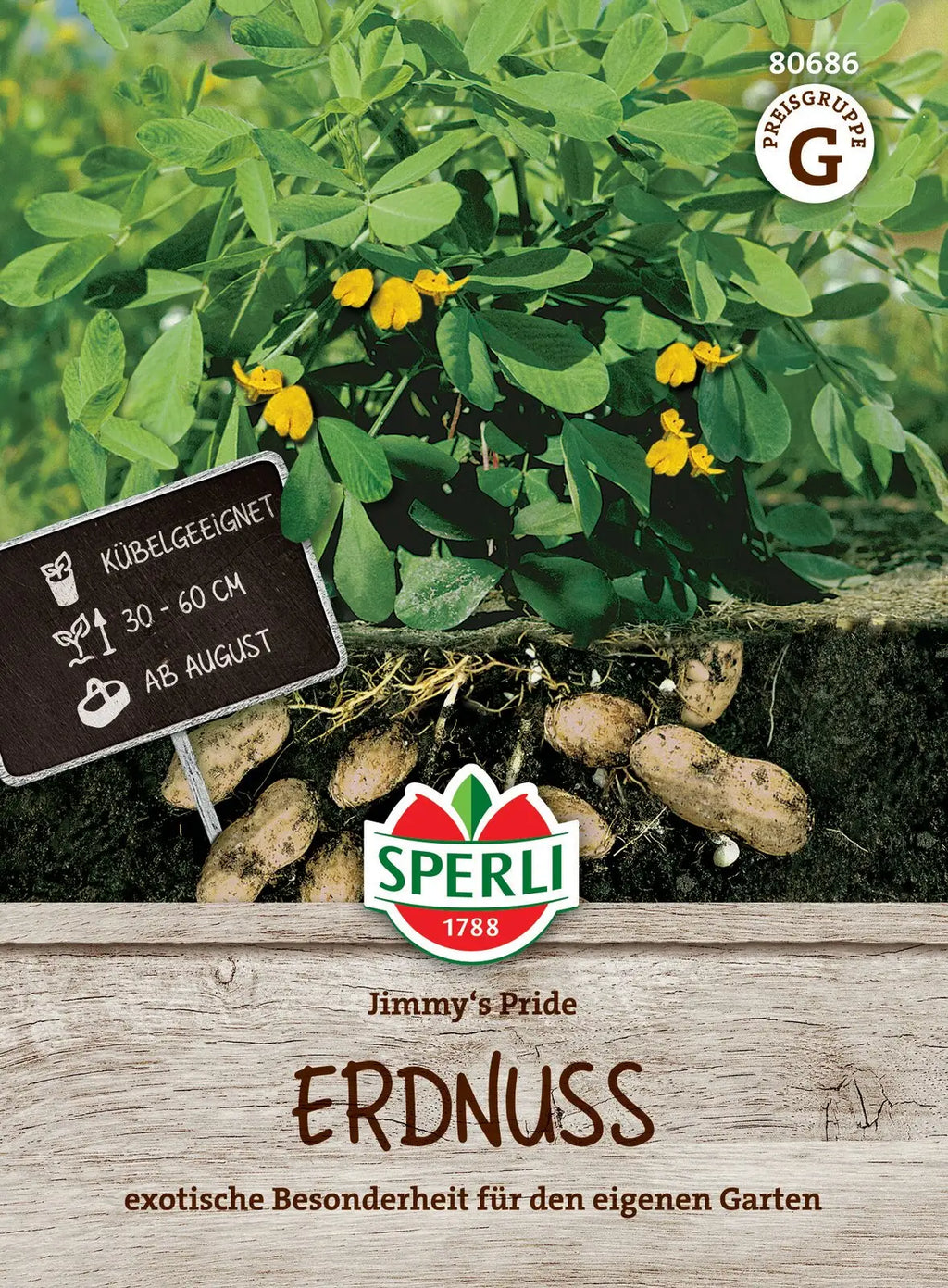  Erdnuss