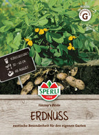  Erdnuss