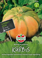  Kürbis "Muscat De Provence"