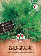  Zwergpalme "Tropenzauber"