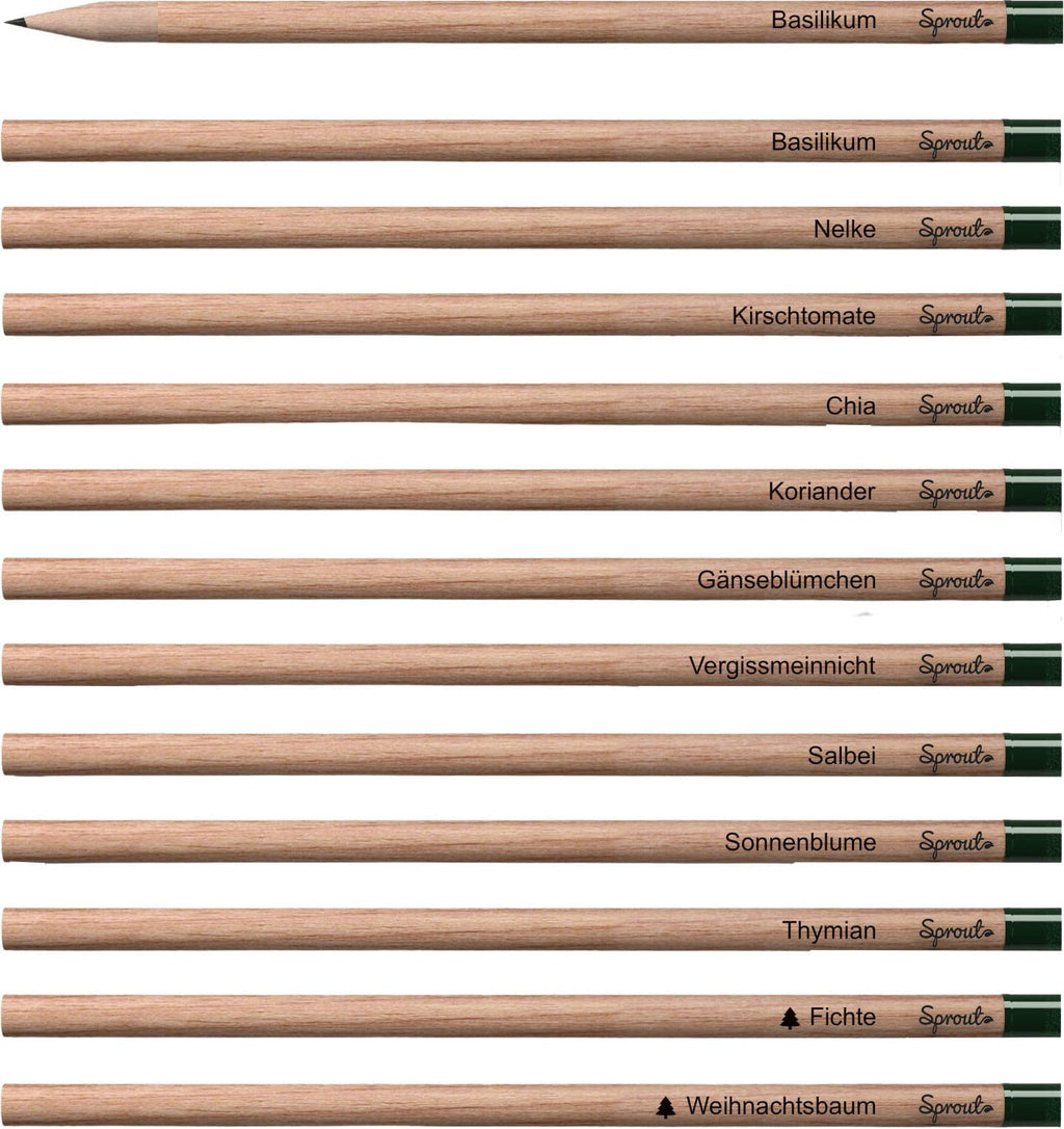  Bleistift Mit Samenkapsel, Koriander