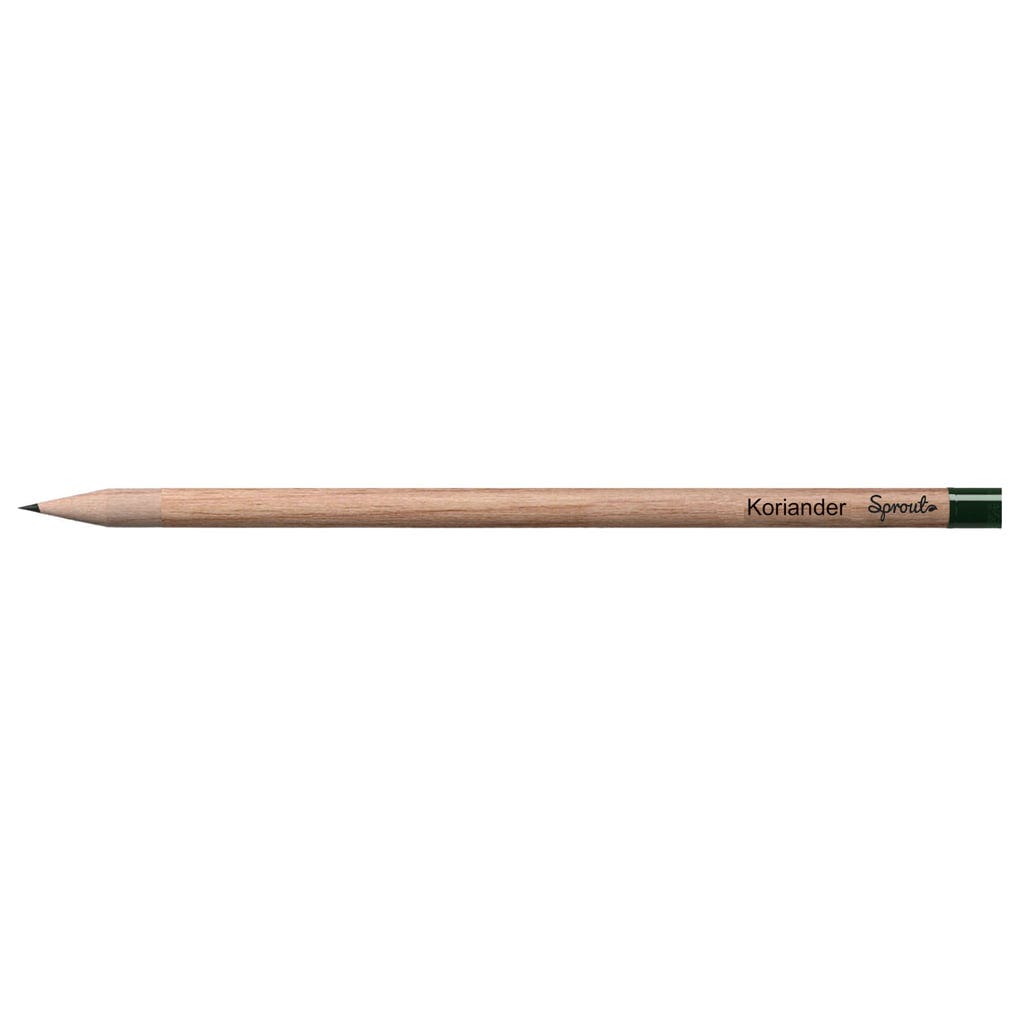  Bleistift Mit Samenkapsel, Koriander