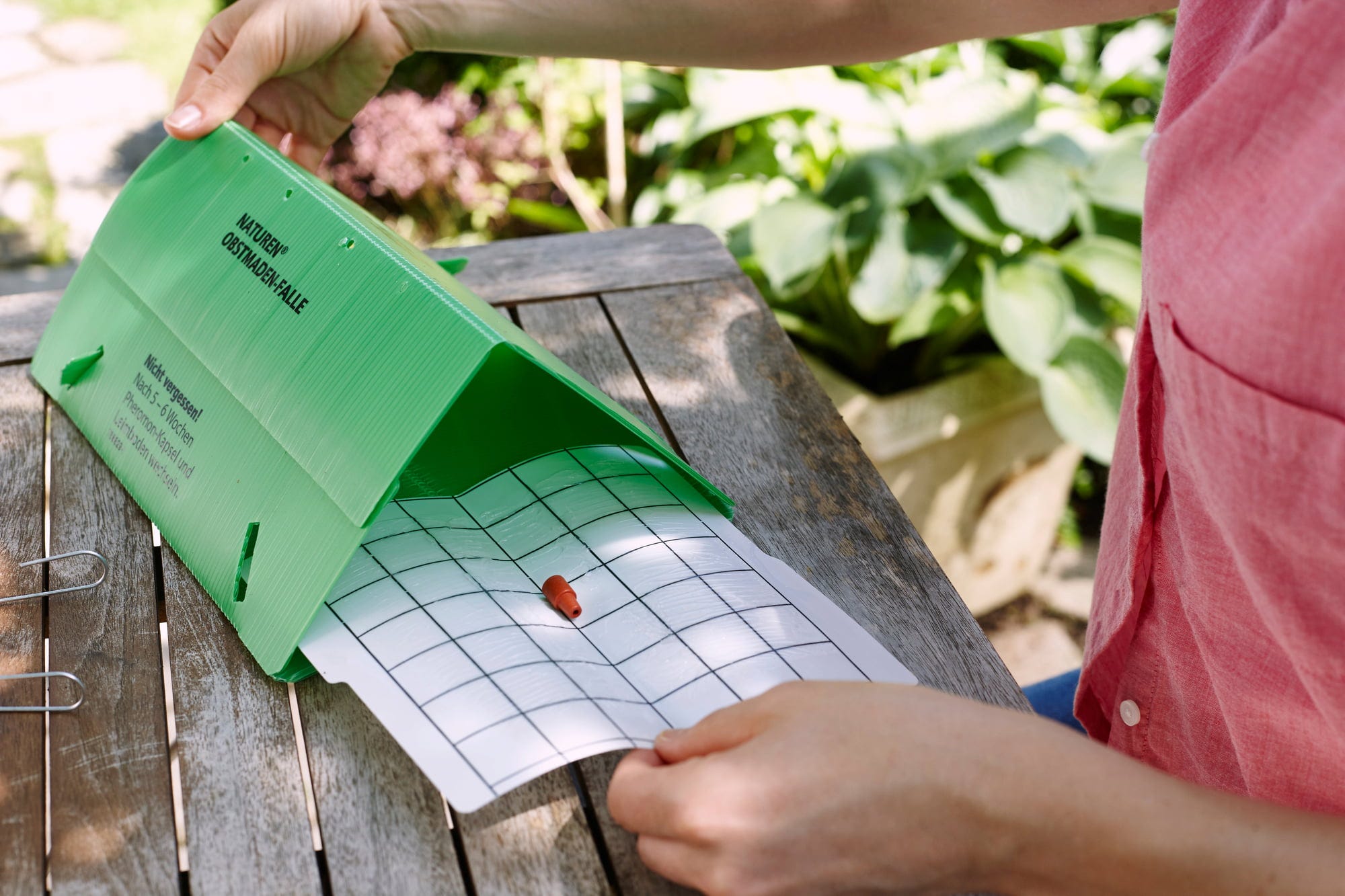  Bio Obstmaden-Falle