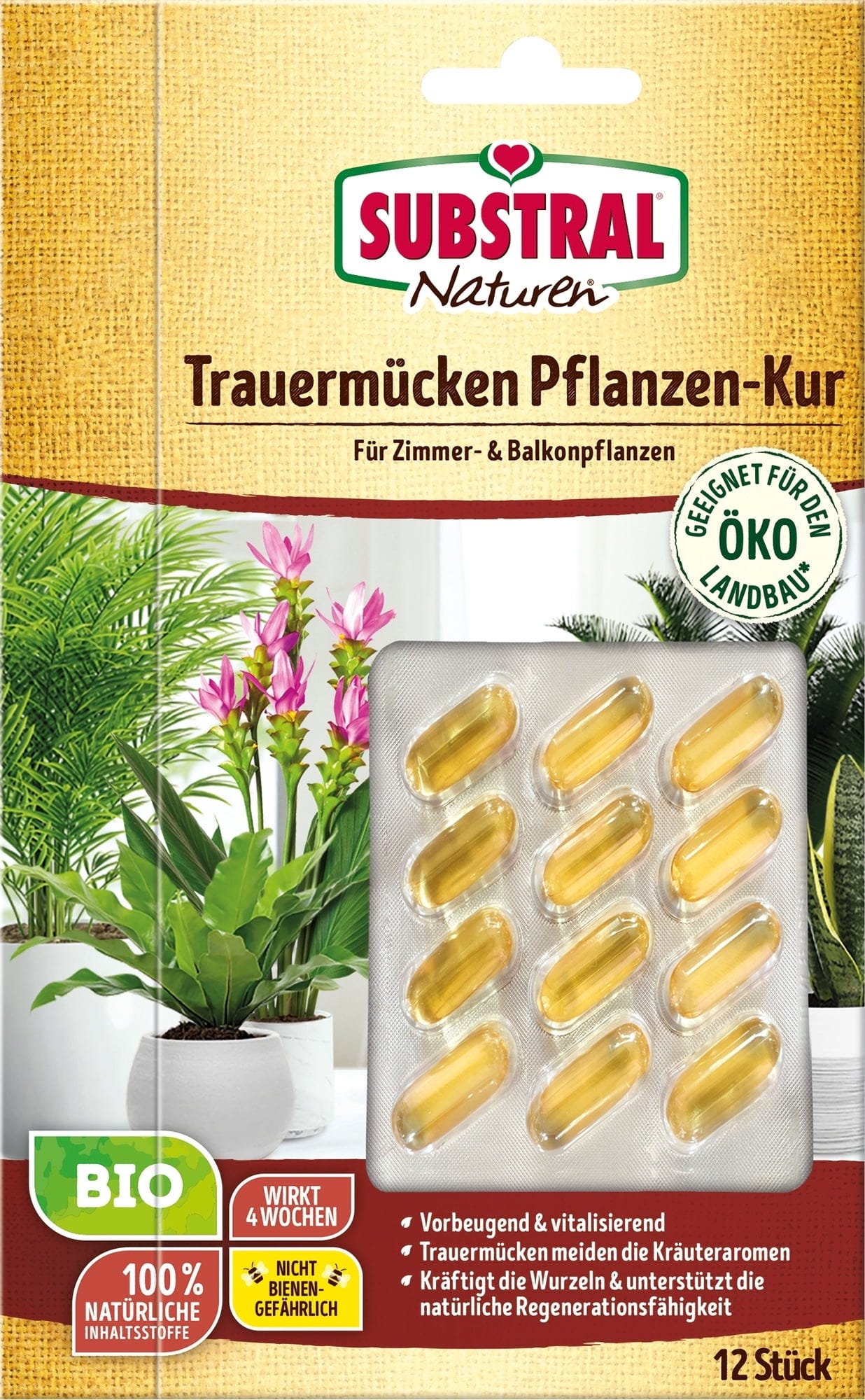  Trauermücken Pflanzenkur, 12 Stück