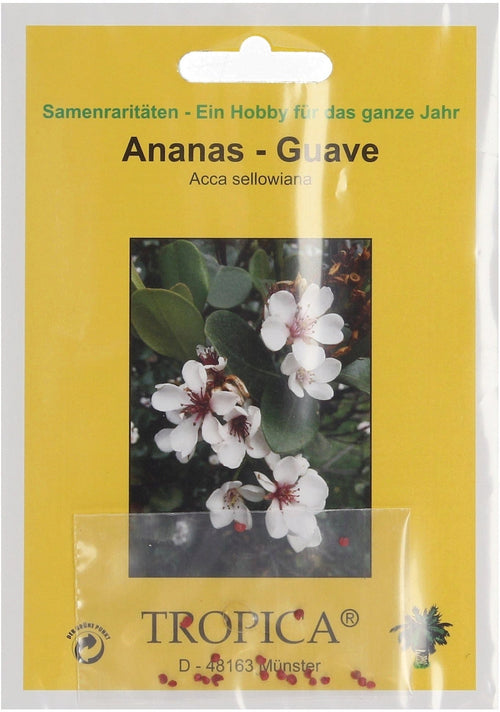 Ananas-Guave, 2 G