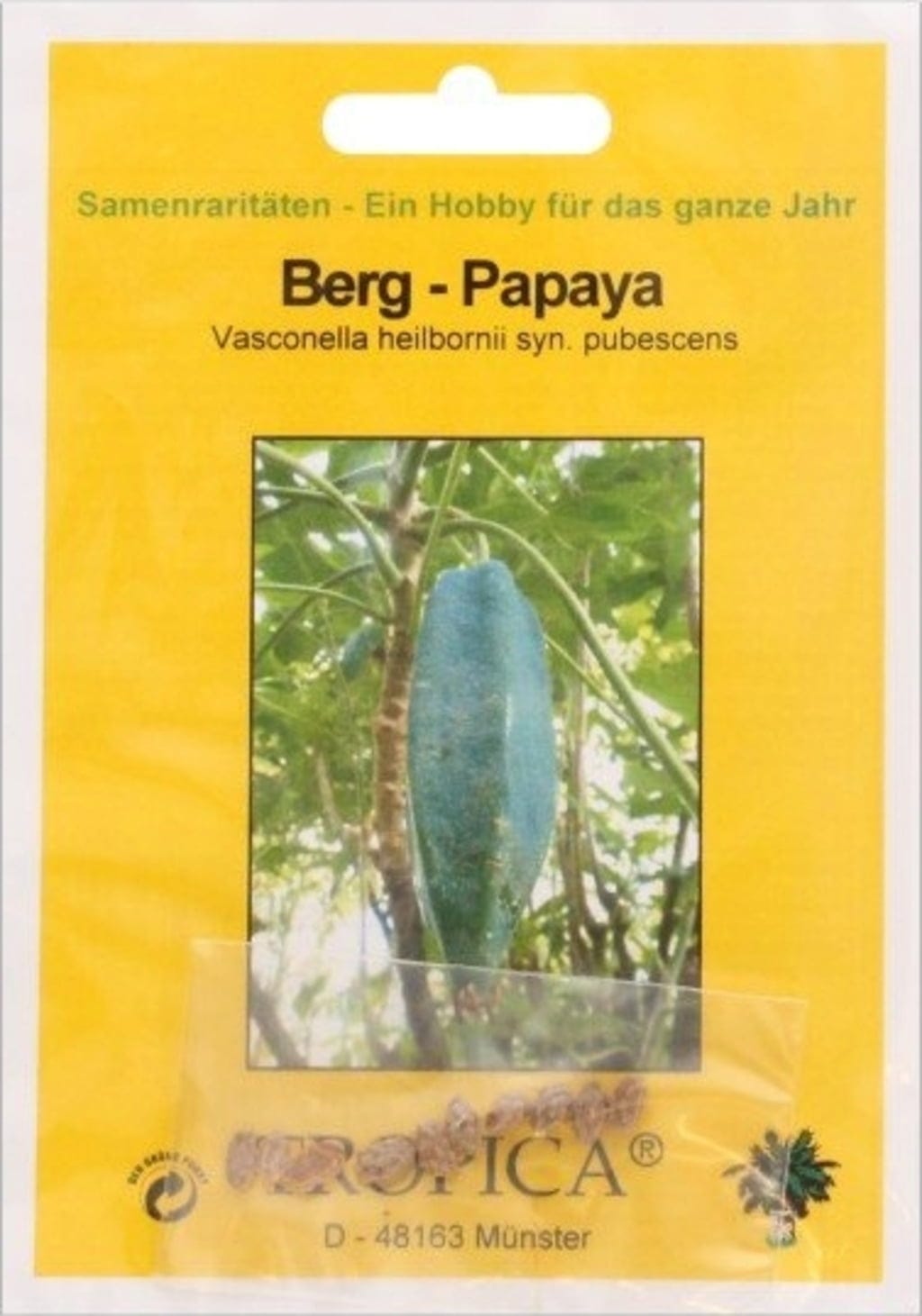  Berg-Papaya, 10 Korn