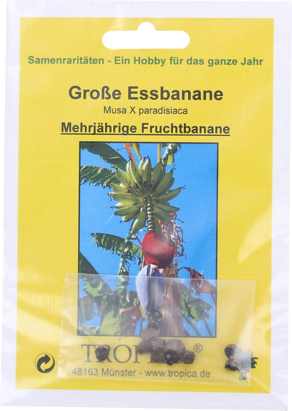  Große Essbanane, 10 Korn