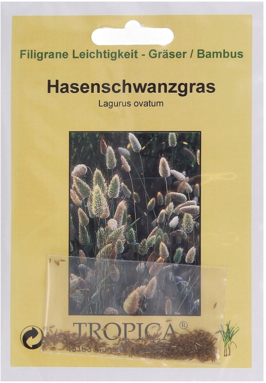  Hasenschwanzgras, 100 Korn