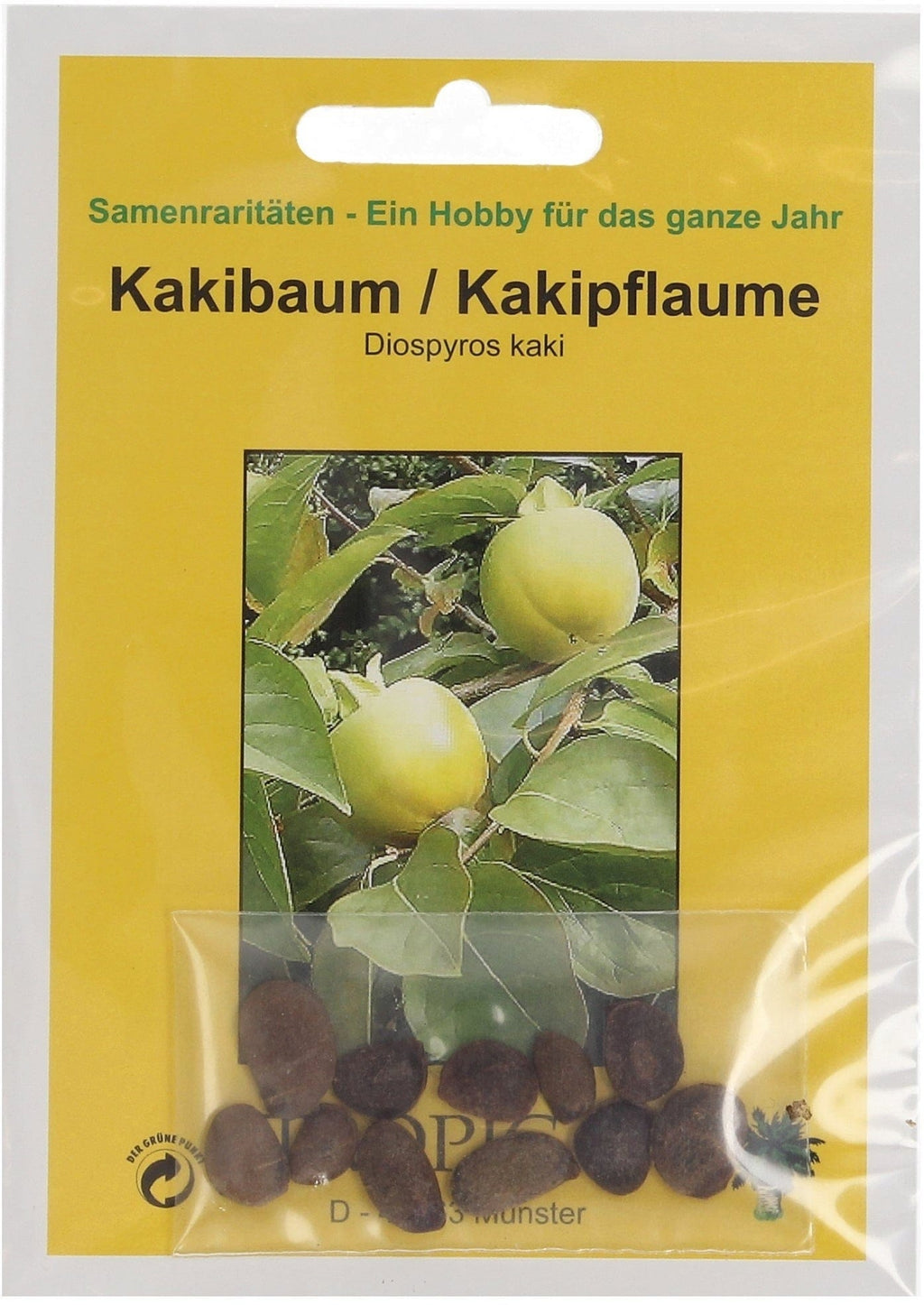  Kakibaum, 10 Korn