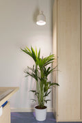  E27 Lampenschirm SAGA - Plug & Play, Rostfarben