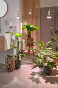  E27 Pflanzenlampe "Indoor Plants", 18 Watt