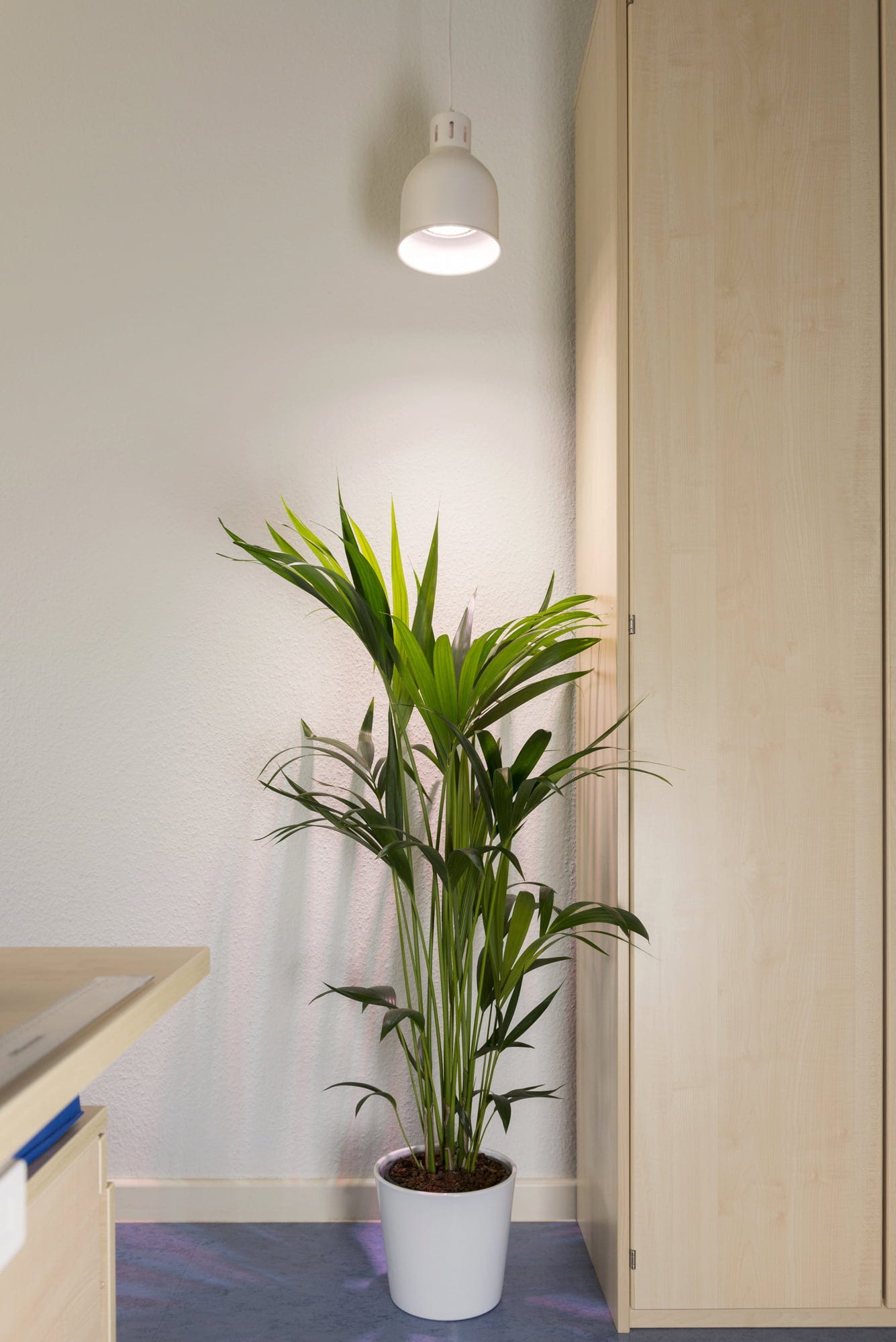  E27 Pflanzenlampe "Indoor Plants", 18 Watt