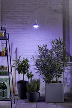  E27 Pflanzenlampe "Winter", 18 Watt