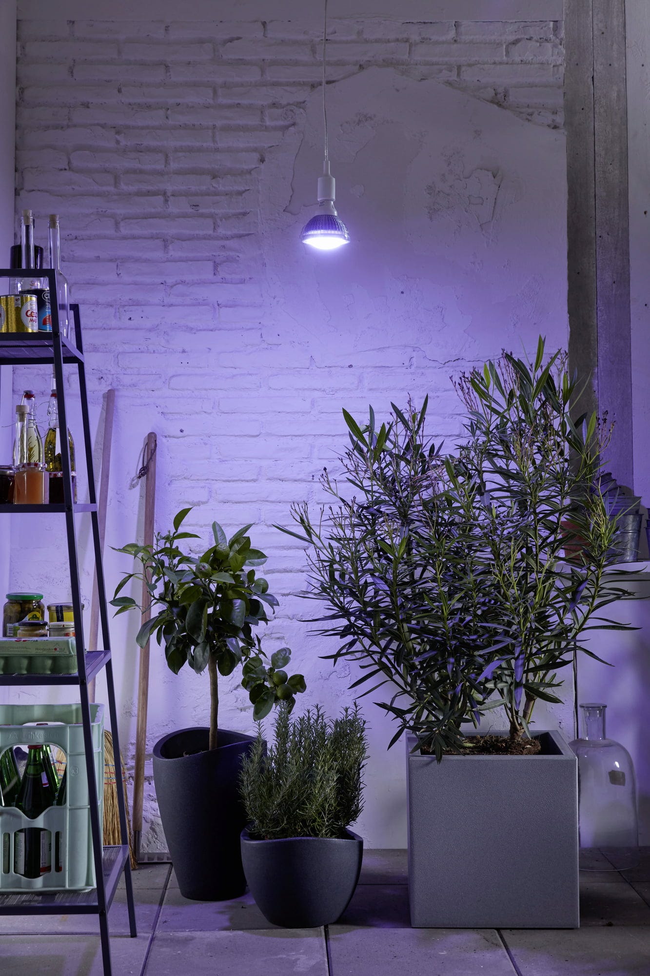  E27 Pflanzenlampe "Winter", 18 Watt
