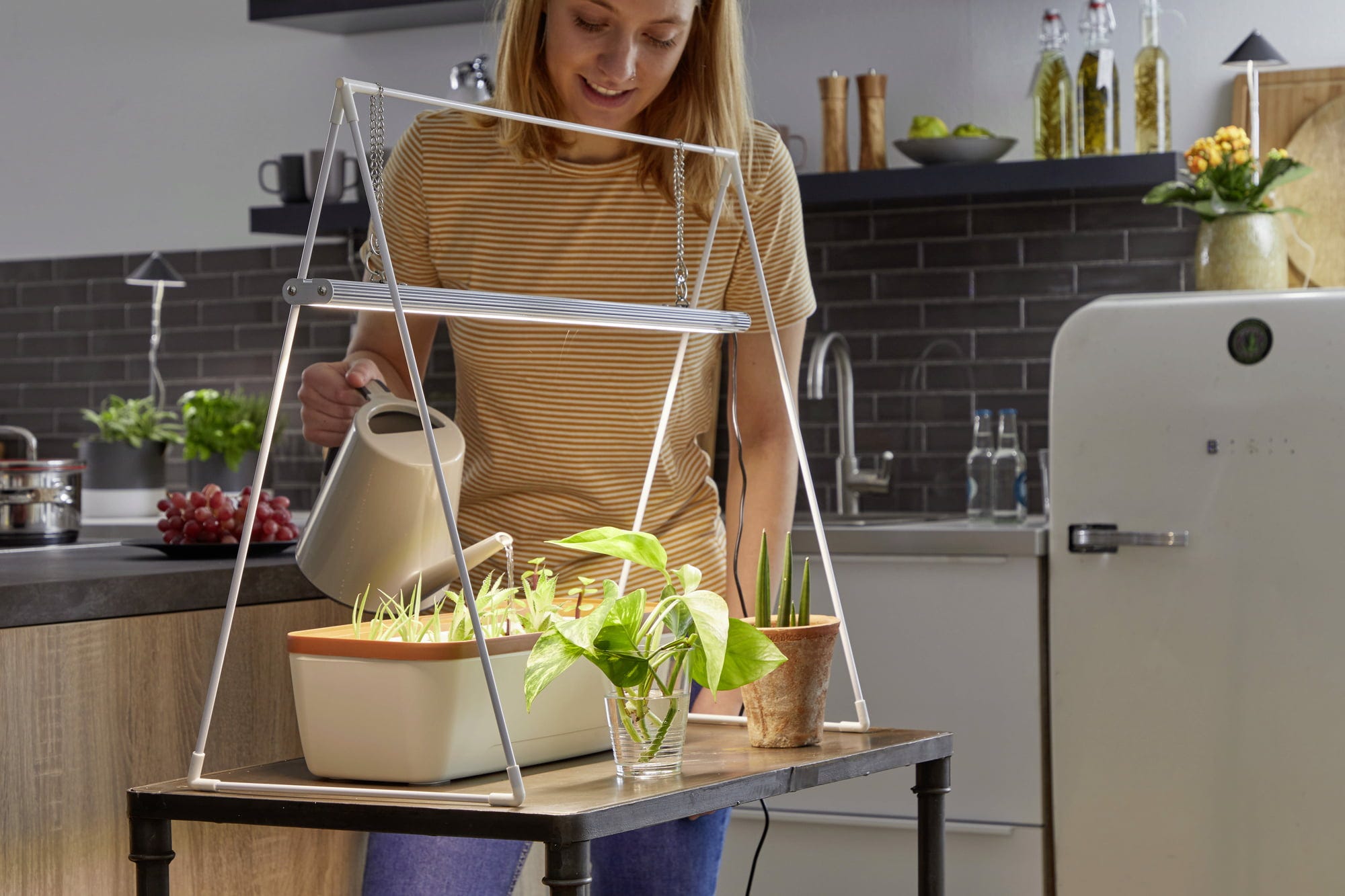  GrowLight Duo Mit Stativ