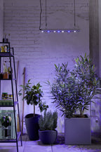  GrowLight Quattro, 35 Watt
